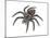 Bird-Eating Spider (Theraphosa), Arachnids-Encyclopaedia Britannica-Mounted Art Print