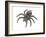 Bird-Eating Spider (Theraphosa), Arachnids-Encyclopaedia Britannica-Framed Art Print