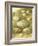 Bird Egg Collection II-Vision Studio-Framed Art Print