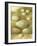 Bird Egg Collection II-Vision Studio-Framed Art Print