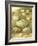 Bird Egg Collection II-Vision Studio-Framed Art Print