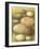 Bird Egg Collection IV-Vision Studio-Framed Art Print