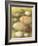 Bird Egg Collection IV-Vision Studio-Framed Art Print