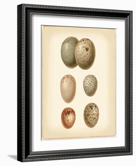 Bird Egg Study IV-Vision Studio-Framed Art Print