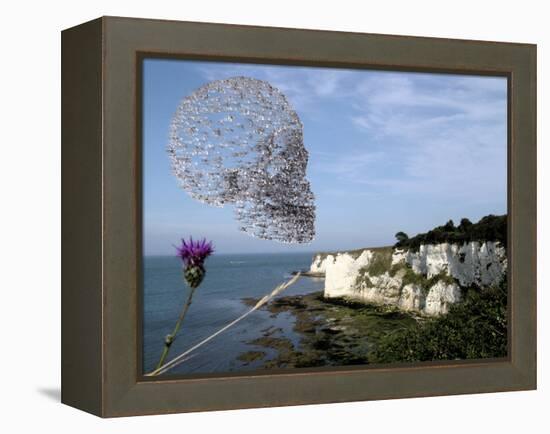 Bird Flu Arriving In Britain-Christian Darkin-Framed Premier Image Canvas