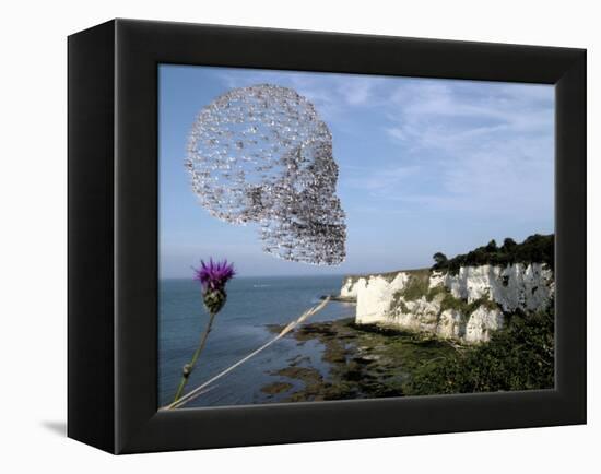 Bird Flu Arriving In Britain-Christian Darkin-Framed Premier Image Canvas