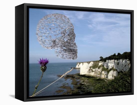 Bird Flu Arriving In Britain-Christian Darkin-Framed Premier Image Canvas