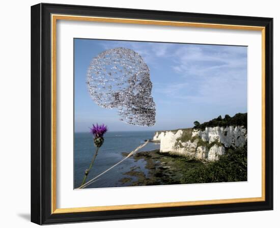 Bird Flu Arriving In Britain-Christian Darkin-Framed Photographic Print