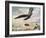 Bird Flying over a Town-John Edwin Noble-Framed Giclee Print