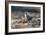 Bird Focus - Rest-Staffan Widstrand-Framed Giclee Print