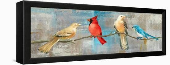 Bird Gossip-Danhui Nai-Framed Stretched Canvas