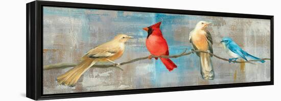 Bird Gossip-Danhui Nai-Framed Stretched Canvas