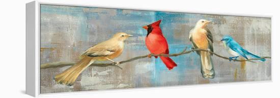 Bird Gossip-Danhui Nai-Framed Stretched Canvas