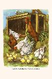Cock-A-Doodle Do, See Our Chickens-Bird & Haumann-Art Print