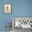 Bird House 4-Megan Aroon Duncanson-Framed Giclee Print displayed on a wall