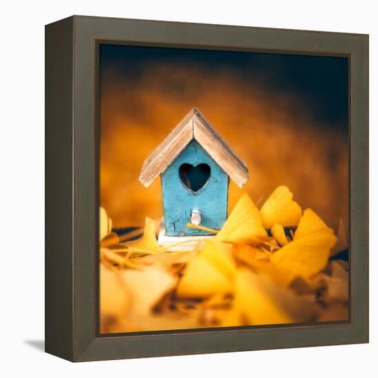 Bird House in Autumn-Philippe Sainte-Laudy-Framed Premier Image Canvas