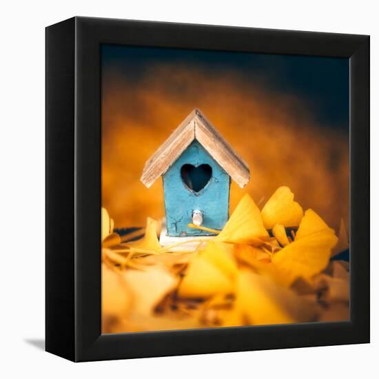 Bird House in Autumn-Philippe Sainte-Laudy-Framed Premier Image Canvas