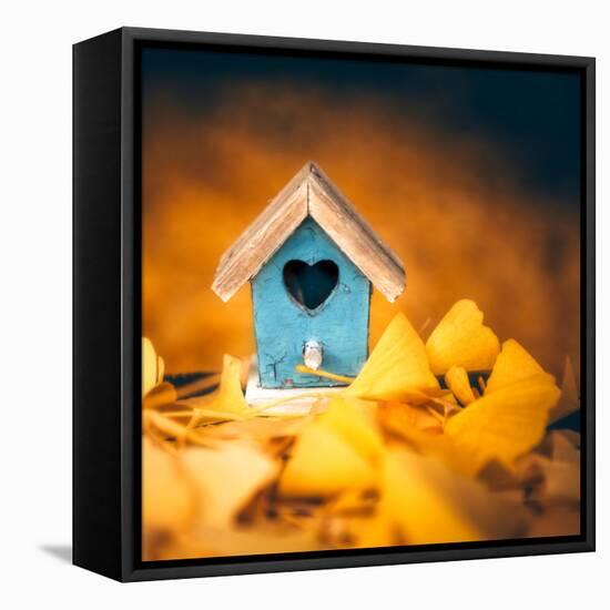 Bird House in Autumn-Philippe Sainte-Laudy-Framed Premier Image Canvas