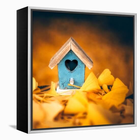 Bird House in Autumn-Philippe Sainte-Laudy-Framed Premier Image Canvas