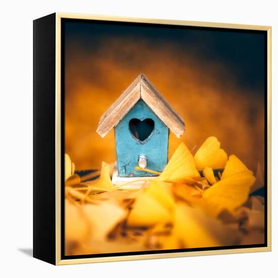 Bird House in Autumn-Philippe Sainte-Laudy-Framed Premier Image Canvas