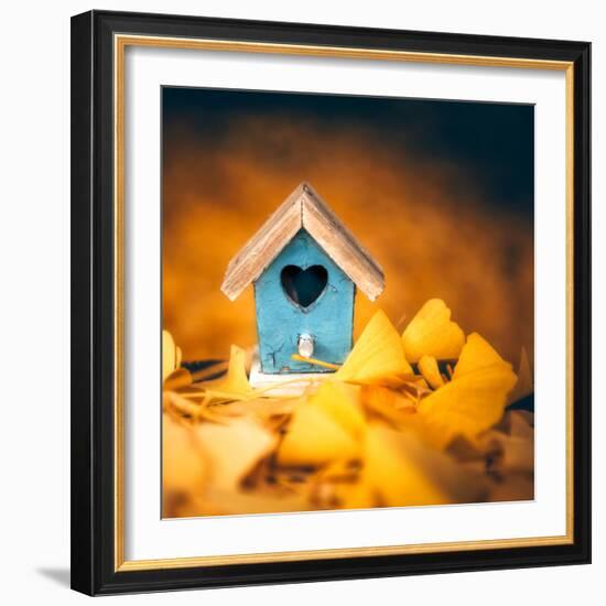 Bird House in Autumn-Philippe Sainte-Laudy-Framed Photographic Print