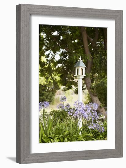 Bird Houses II-Karyn Millet-Framed Photographic Print