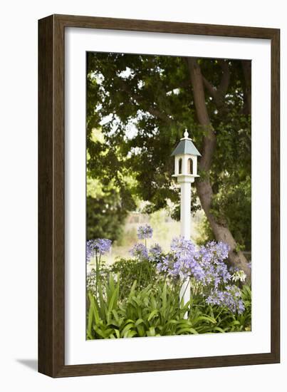 Bird Houses II-Karyn Millet-Framed Photographic Print