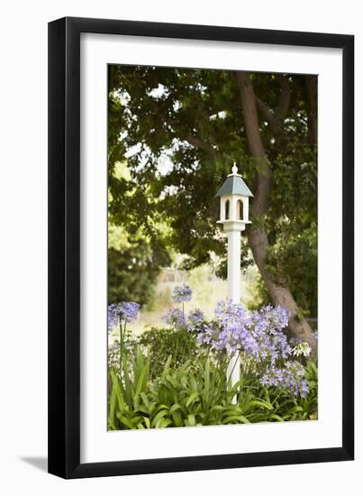 Bird Houses II-Karyn Millet-Framed Photographic Print