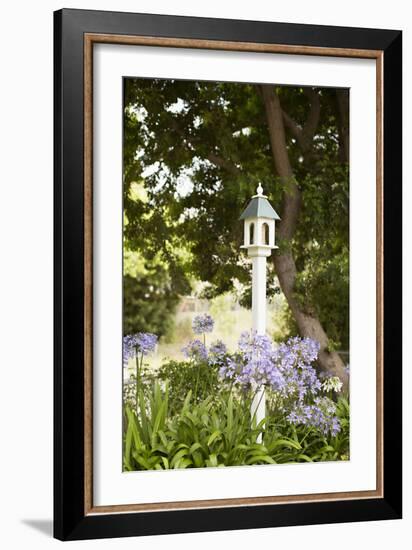 Bird Houses II-Karyn Millet-Framed Photographic Print