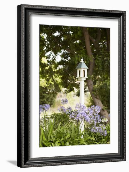 Bird Houses II-Karyn Millet-Framed Photographic Print