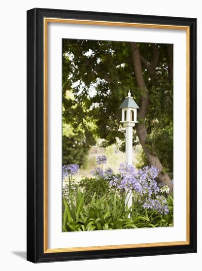 Bird Houses II-Karyn Millet-Framed Photographic Print