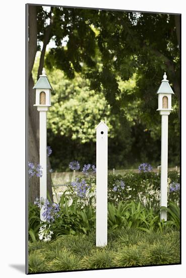 Bird Houses-Karyn Millet-Mounted Photographic Print