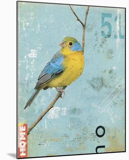Bird II-Kareem Rizk-Mounted Giclee Print