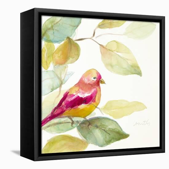 Bird in a Tree III (magenta)-Lanie Loreth-Framed Stretched Canvas