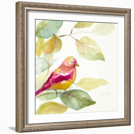 Bird in a Tree III (magenta)-Lanie Loreth-Framed Art Print