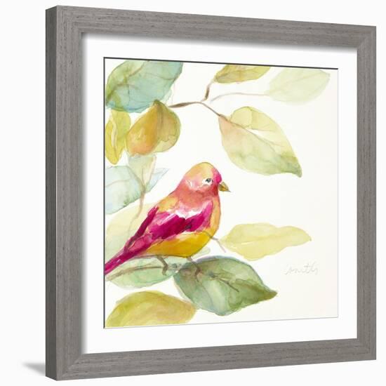 Bird in a Tree III (magenta)-Lanie Loreth-Framed Art Print