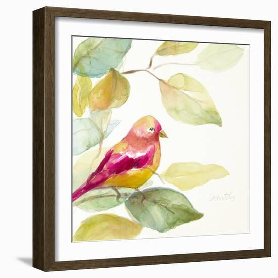 Bird in a Tree III (magenta)-Lanie Loreth-Framed Art Print