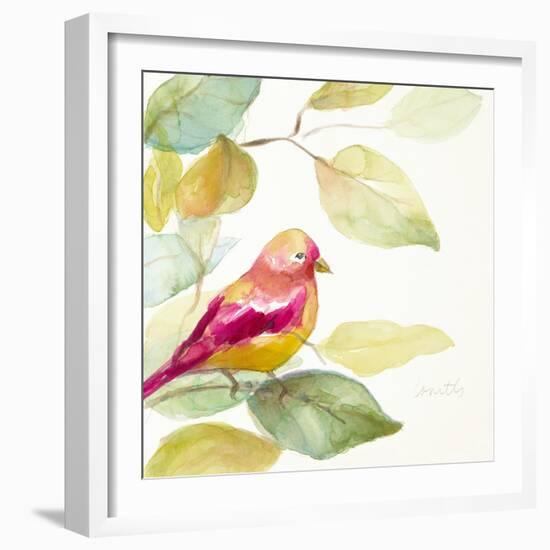 Bird in a Tree III (magenta)-Lanie Loreth-Framed Art Print