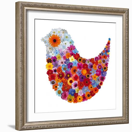 Bird in Bloom-Sharon Elphick-Framed Giclee Print