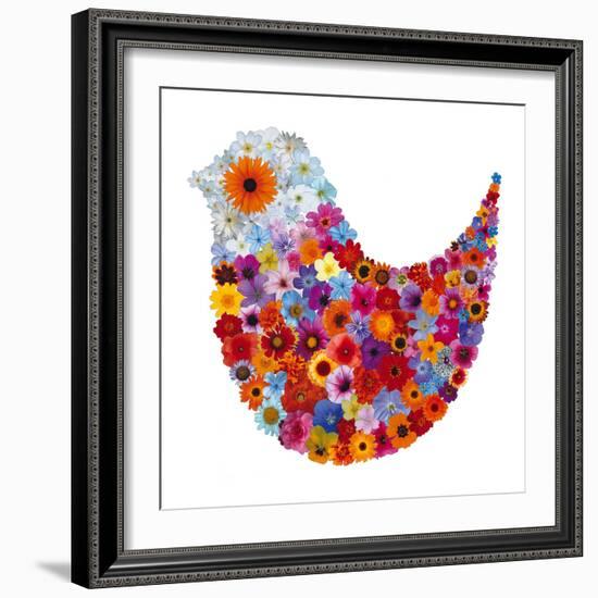 Bird in Bloom-Sharon Elphick-Framed Giclee Print