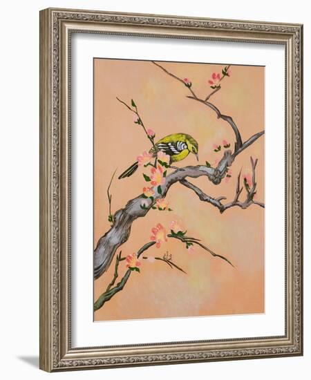 Bird in Cherry Tree-Judy Mastrangelo-Framed Giclee Print