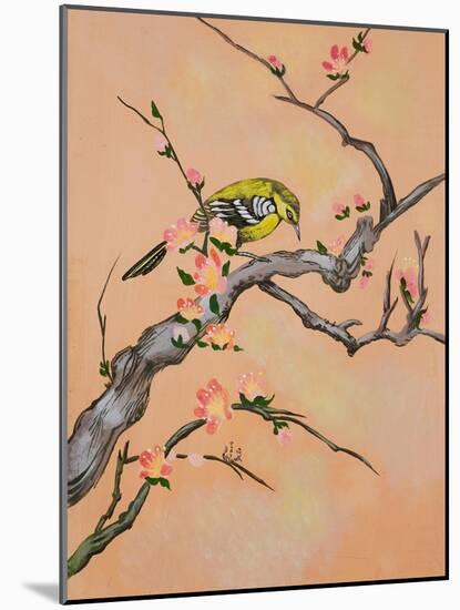 Bird in Cherry Tree-Judy Mastrangelo-Mounted Giclee Print