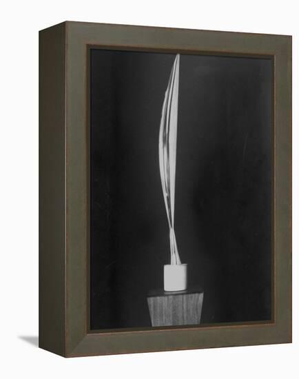 "Bird in Space," a Bronze Sculpture by Constantin Brancusi-null-Framed Premier Image Canvas