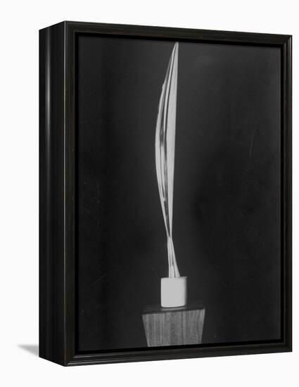 "Bird in Space," a Bronze Sculpture by Constantin Brancusi-null-Framed Premier Image Canvas