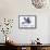 Bird Inspiration I-Irina Trzaskos Studio-Framed Premier Image Canvas displayed on a wall