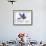 Bird Inspiration I-Irina Trzaskos Studio-Framed Giclee Print displayed on a wall