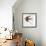 Bird Inspiration II-Irina Trzaskos Studio-Framed Giclee Print displayed on a wall