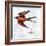 Bird Inspiration II-Irina Trzaskos Studio-Framed Giclee Print