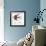 Bird Inspiration II-Irina Trzaskos Studio-Framed Giclee Print displayed on a wall