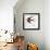 Bird Inspiration II-Irina Trzaskos Studio-Framed Giclee Print displayed on a wall